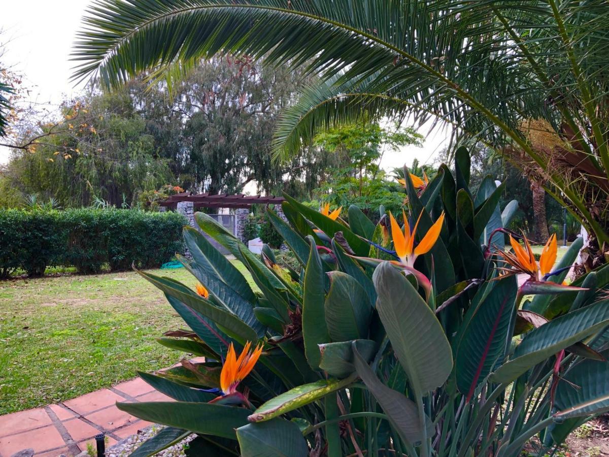 Puerto Banus Apartamento Flores Marbella Exteriör bild